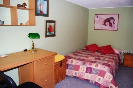 Dormitorio con cama y pared decorada.